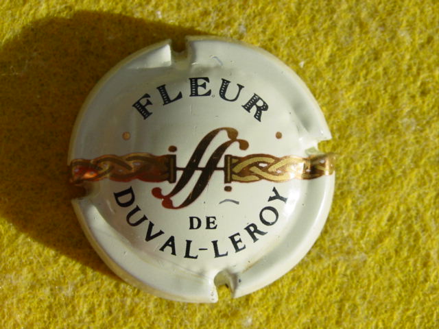 Photo de la capsule