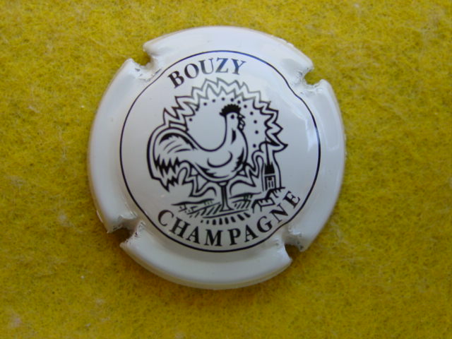 Photo de la capsule