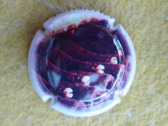 Photo de la capsule