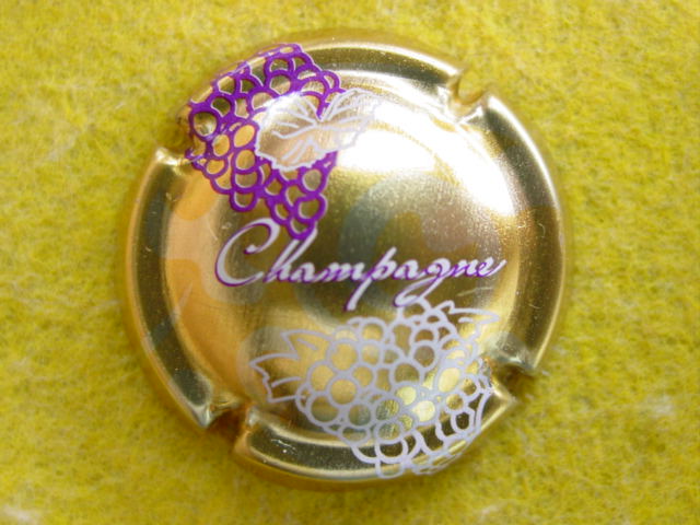 Photo de la capsule