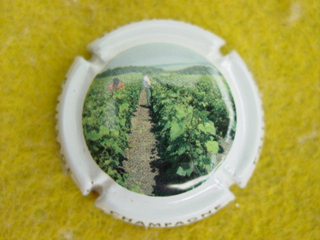 Photo de la capsule