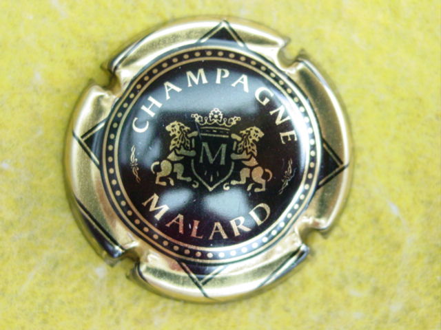 Photo de la capsule
