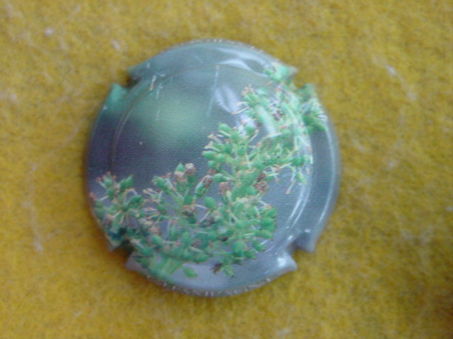 Photo de la capsule
