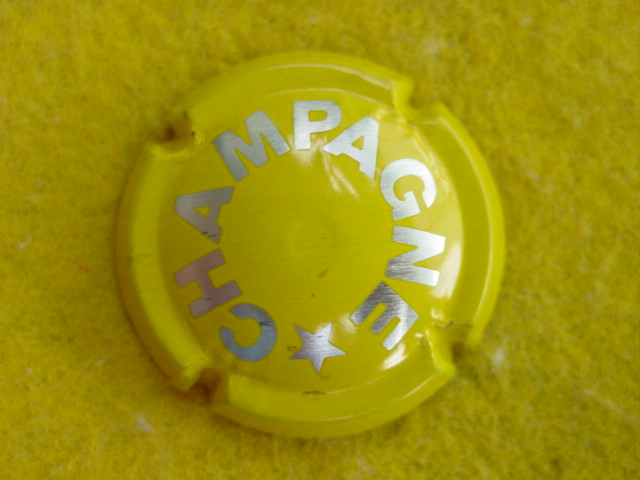Photo de la capsule