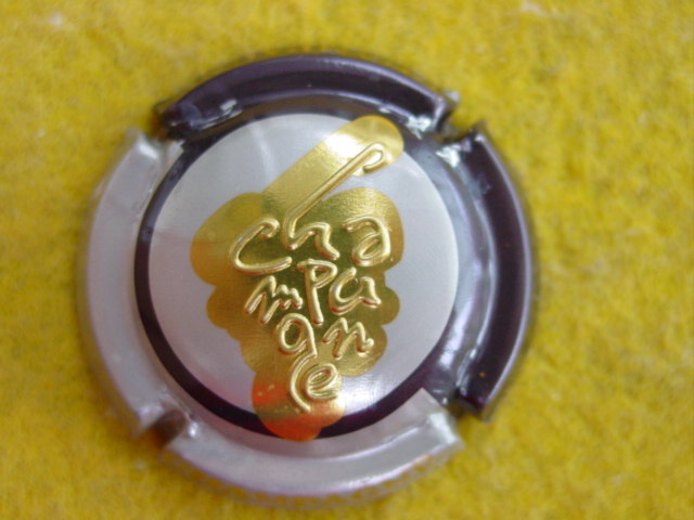 Photo de la capsule