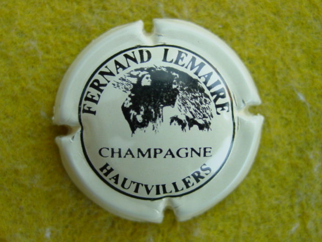 Photo de la capsule