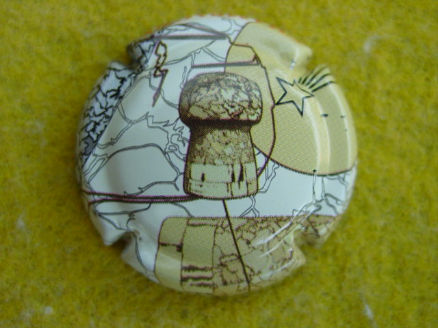 Photo de la capsule