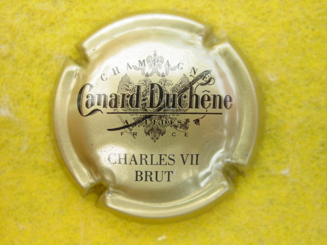 Photo de la capsule