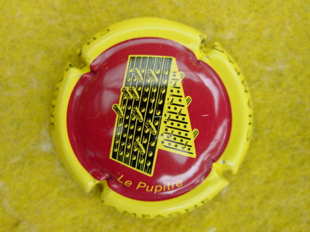 Photo de la capsule