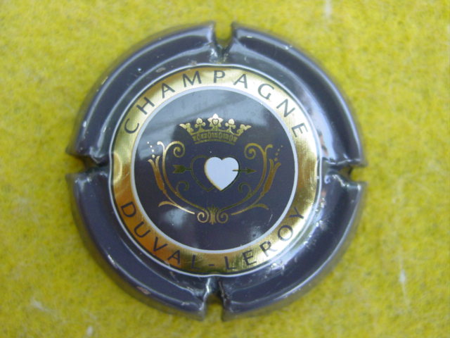 Photo de la capsule
