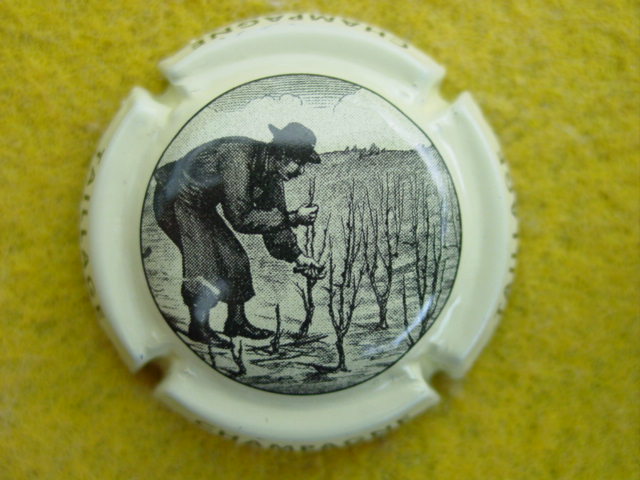 Photo de la capsule