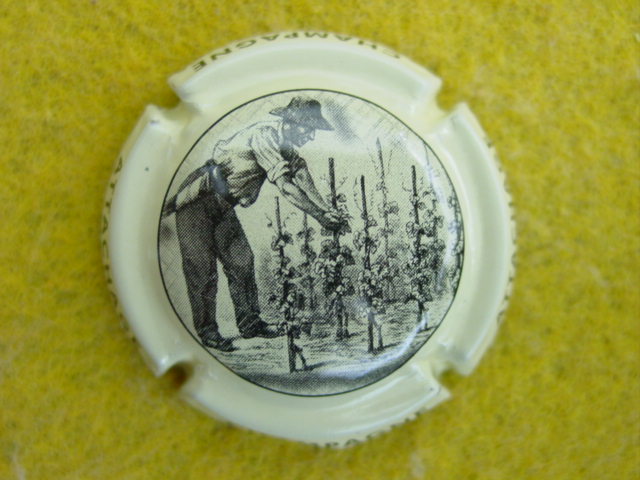 Photo de la capsule
