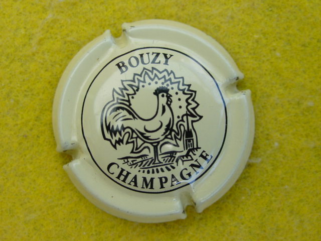 Photo de la capsule