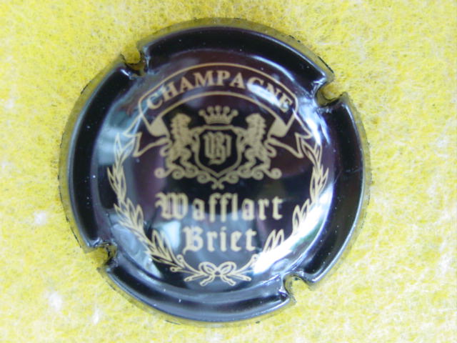 Photo de la capsule