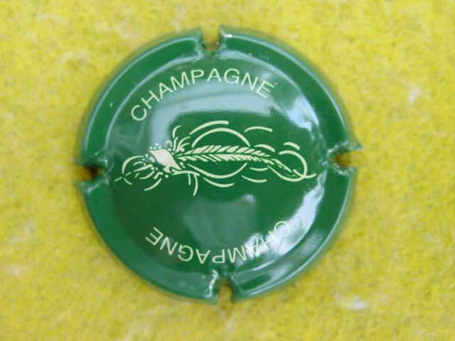 Photo de la capsule