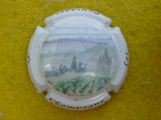 Photo de la capsule