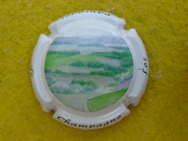 Photo de la capsule