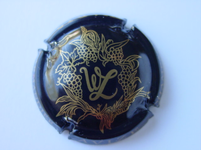 Photo de la capsule