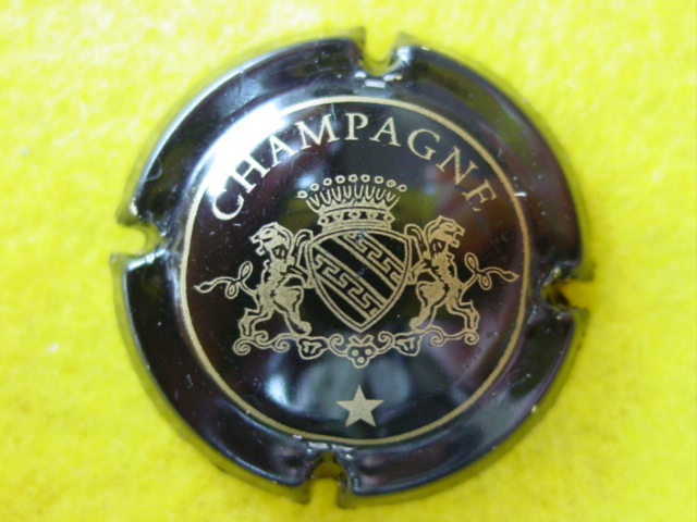 Photo de la capsule
