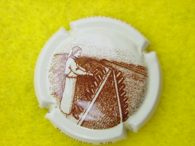 Photo de la capsule