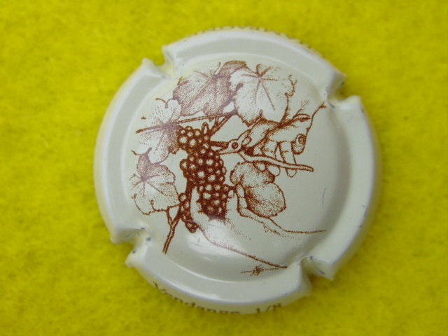 Photo de la capsule