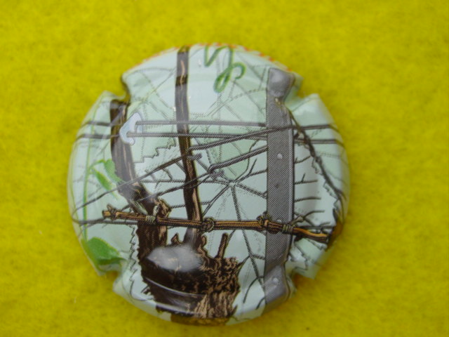Photo de la capsule