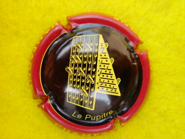 Photo de la capsule