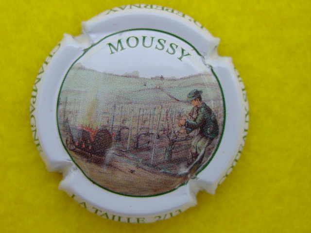 Photo de la capsule