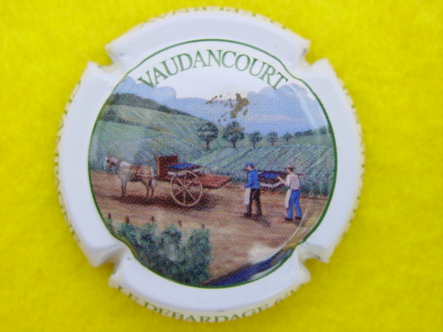 Photo de la capsule