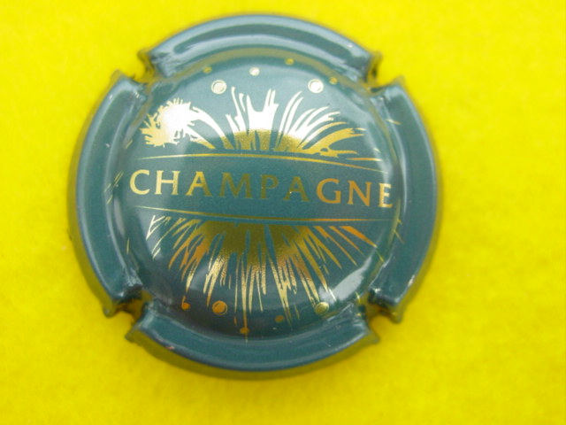Photo de la capsule