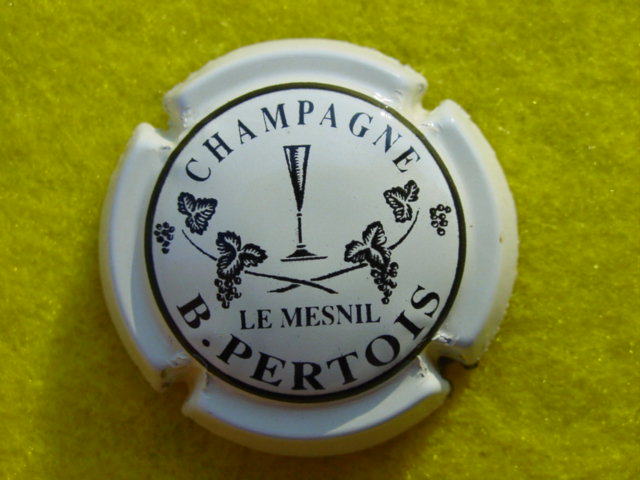 Photo de la capsule