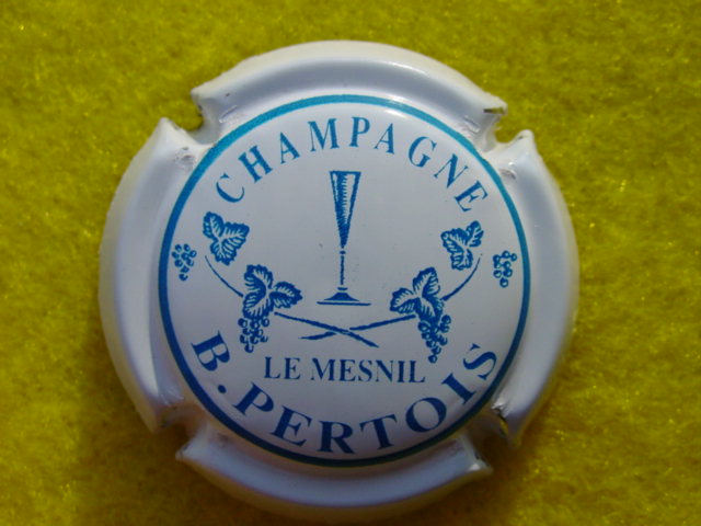 Photo de la capsule
