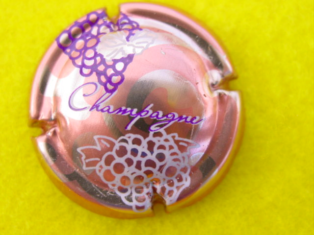 Photo de la capsule