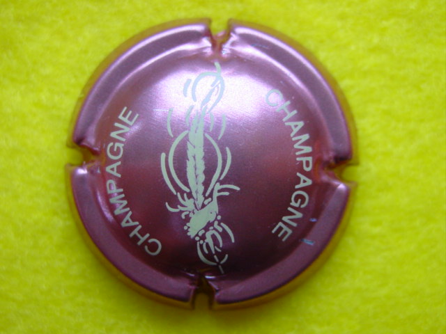 Photo de la capsule