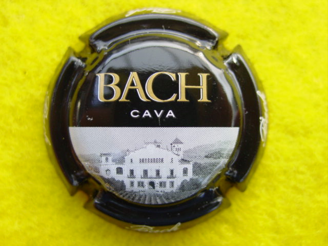 Photo de la capsule