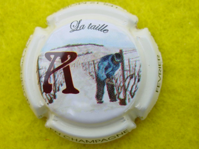 Photo de la capsule