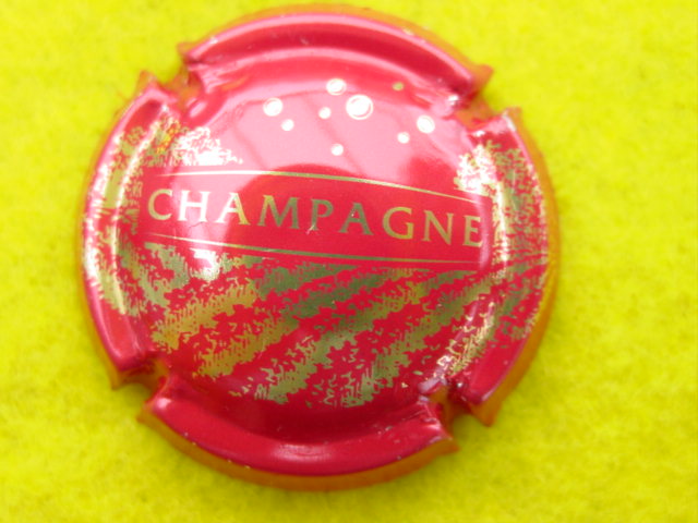 Photo de la capsule