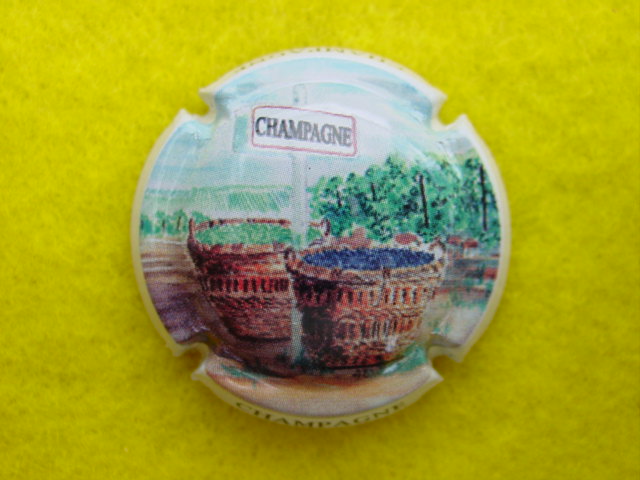 Photo de la capsule