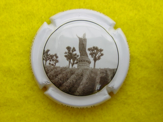 Photo de la capsule