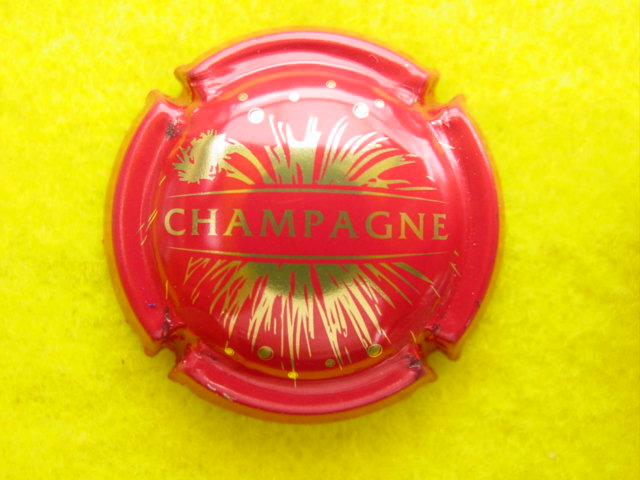 Photo de la capsule