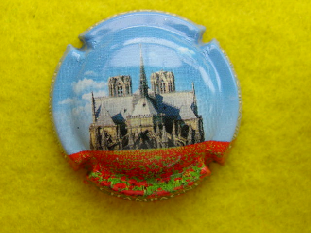 Photo de la capsule