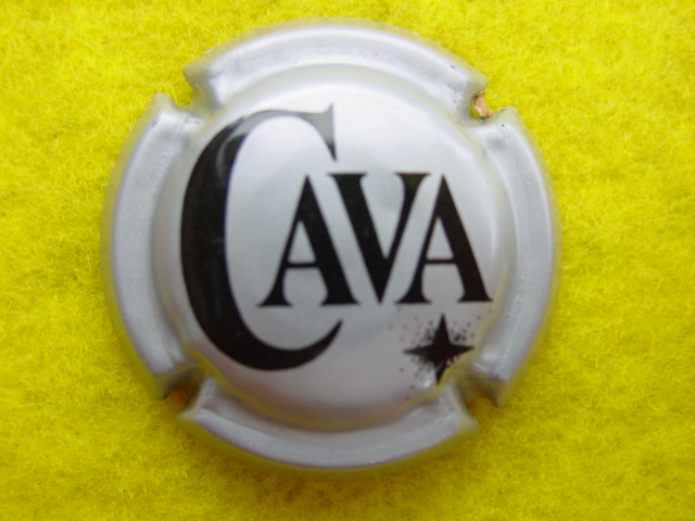 Photo de la capsule