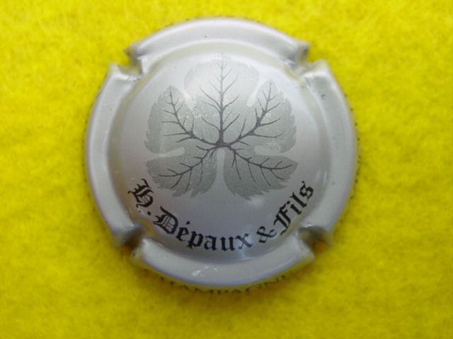 Photo de la capsule