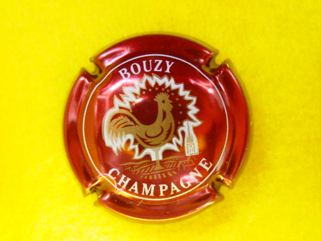 Photo de la capsule