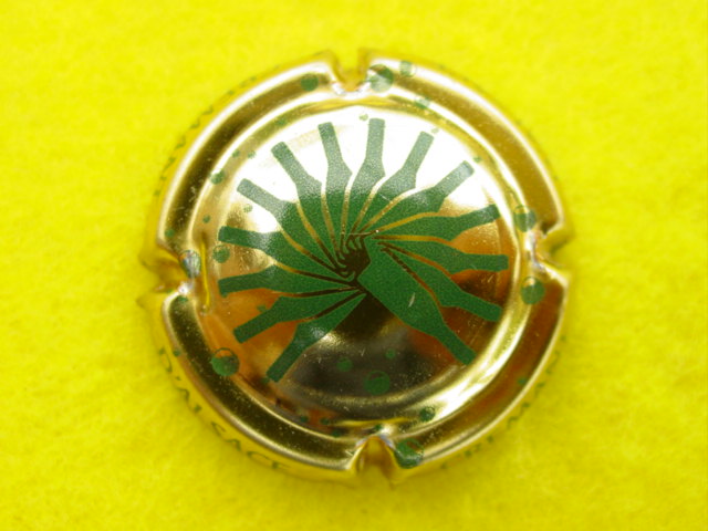 Photo de la capsule