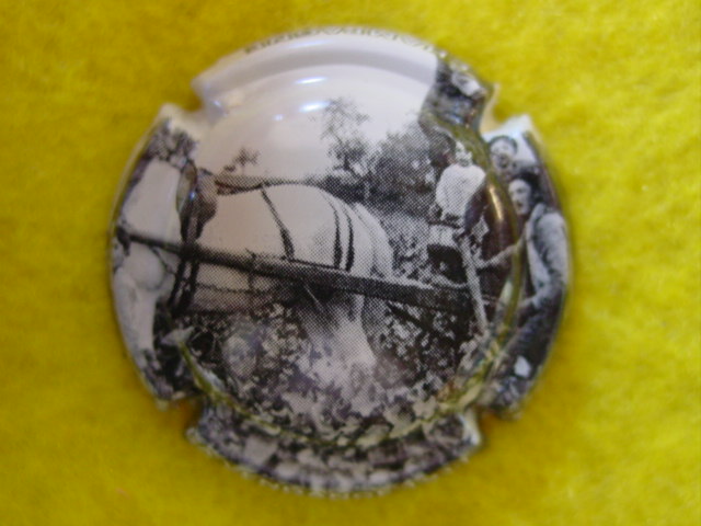 Photo de la capsule