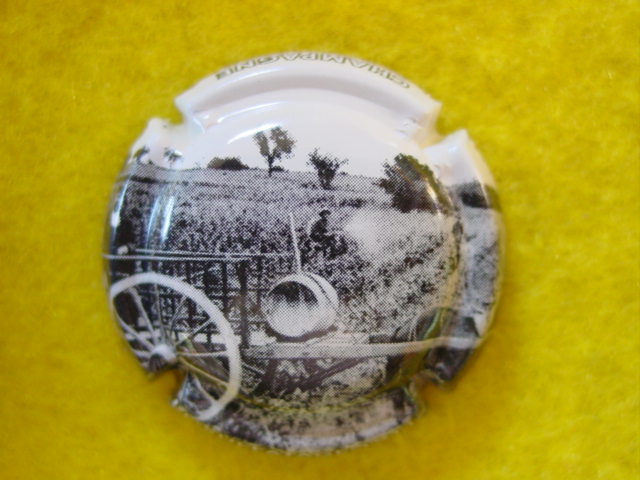 Photo de la capsule