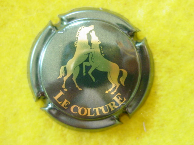 Photo de la capsule