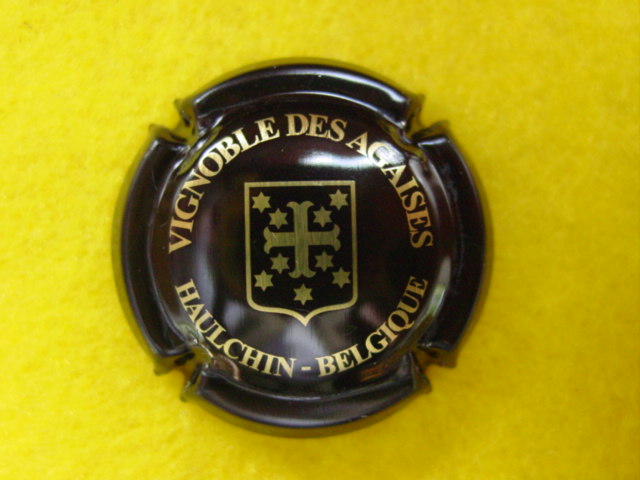 Photo de la capsule