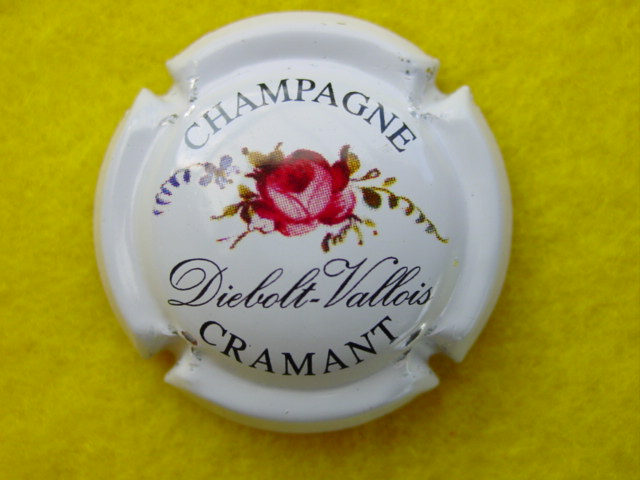 Photo de la capsule